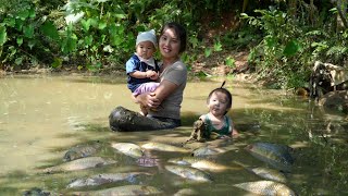 How to harvest giant fish ponds to sell at the market  cook with your children [upl. by Nylrehs416]