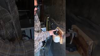 Tips For Drying Wood In A Nyle L200m Kiln kiln woodkiln drying fy fypシ [upl. by Rubio495]