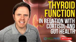 Thyroid Function in Relation with Cortisol and Gut Health [upl. by Ariuqahs]