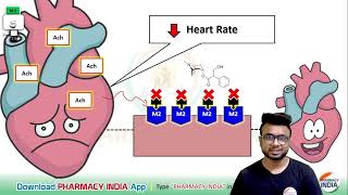 MECHANISM ACTION OF ATROPINE  PHARMACOLOGY [upl. by Ordnaxela]