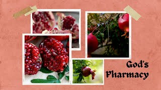 Gods Pharmacy  Pomegranate  Health Benefits of Pomegranate  fruits SMEducate [upl. by Harrow]