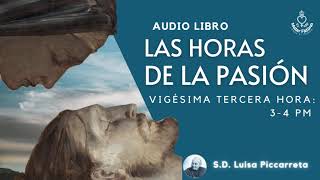 23 VIGÉSIMA TERCERA HORA 3 4 PM Jesús muerto es traspasado por la lanza [upl. by Anirba216]