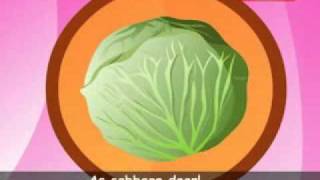 Cabbage Song [upl. by Main393]