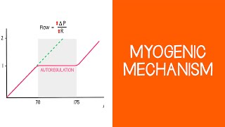 27 Renal Myogenic Mechanism [upl. by Notxap]