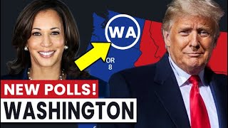 Washington Poll Results Donald Trump vs Kamala Harris 2024 US Election [upl. by Dita]