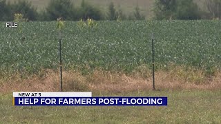 Farmers trying to recover from flooding [upl. by Tyree]