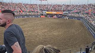 steer wrestling opps [upl. by Cresa]