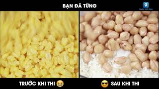 Sự khác biệt giữa TRƯỚC KHI THI và SAU KHI THI  Feedy TV [upl. by Lazes]