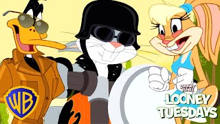 Looney Tunes en Latino  Furentes rebelles 😎  WBKidsLatino [upl. by Ladnyc]