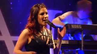 Delain  Not enough live 2015 [upl. by Opaline]