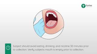 How to Collect a Buccal Swab Sample [upl. by Bekki]