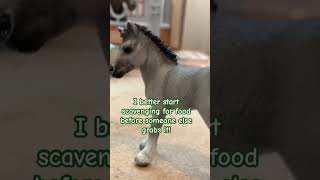 😂😂 schleich horses unboxing schleichhorses models modelhorses horse [upl. by Naveb]