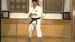 Hitoshi Kasya Basic techniquewmv [upl. by Prosser309]