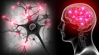 CNS PharmacologySerotonin5HTRapid revisionampmain points [upl. by Ilise]