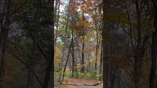 Fall 3024 Nantahala Bikeway [upl. by Kynan]