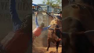 Bull Riding SOB [upl. by Karl]