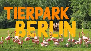 Tierpark Berlin  Zoo Eindruck [upl. by Ahsilrak]