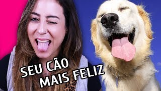 COMO FAZER SEU CACHORRO MAIS FELIZ [upl. by Sirron]