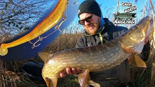 Pike fishing with the new Savage Gear Monster Shad Crazy Session [upl. by Ahsaf]