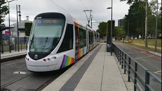 Tramway dAngers Ligne A Roseraie  AvrilléArdenne Citadis 302 [upl. by Esinej]