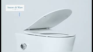 Wall hung rimless toilet Temo Bidet P322X [upl. by Euqitsym]