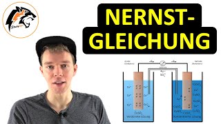 Die NernstGleichung  Chemie Tutorial [upl. by Luby]