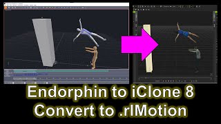 Endorphin to iClone 8 Motion  Pipeline Tutorial endorphin iclone 3danimation motion import [upl. by Adnarem]