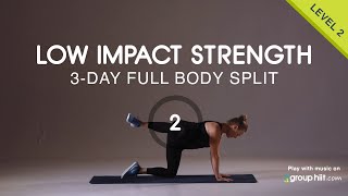 3Day Split Low Impact Strength  Workout 2 [upl. by Javed]