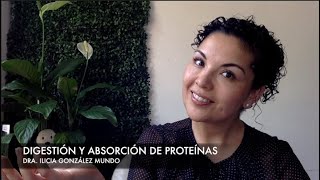 Digestión de Proteínas  Explicación completa  Dr Diego VTY [upl. by Yecniuq]