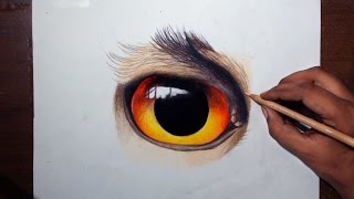 Drawing An Owl Eye  Prismacolor Pencils [upl. by Sibby665]