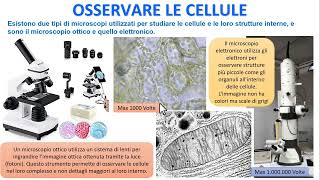 OSSERVARE LE CELLULE [upl. by Birchard]