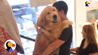 Dog Gets Carried Up Escalator  The Dodo [upl. by Allanson200]