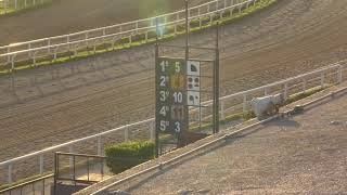 CARRERAS LAS PIEDRAS 81124  EN VIVO  URUGUAY [upl. by Ause]