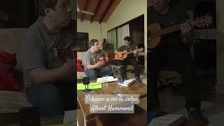 Échame a mi la culpa Albert Hammond cover alberthammond [upl. by Ardnuahsal114]