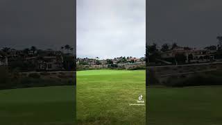 Pelican Hill shorts golf tiktok trending viral fyp foryou short sports golfswing pga dad [upl. by Fabri]