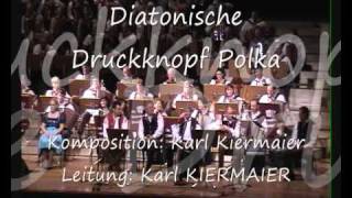 Diatonische Druckknopf Polkawmv Feuerwerk der Volksmusik 2010 [upl. by Maccarthy]