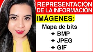 REPRESENTACIÓN DE LA INFORMACIÓN en COMPUTADORAS  4 IMÁGENES [upl. by Lupita]