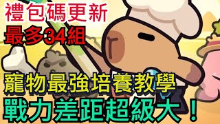 【卡皮巴拉GO】34組禮包碼分享、全部都能用！寵物千萬別亂養、戰力差距超級大！卡皮巴拉 水豚君CapybaraGo [upl. by Meingoldas]