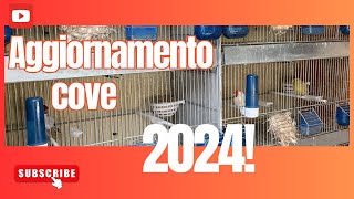 Aggiornamento cove 2024 [upl. by Abdel]