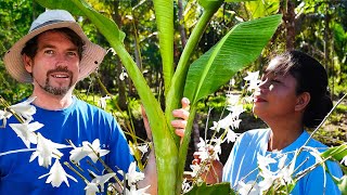 PLANTING BANANAS AND ORCHIDS IN OUR FARM  ISLAND LIFE [upl. by Brennen]