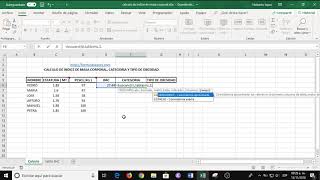 Calcular Indice de Masa Corporal quotIMCquot con Formulas Excel [upl. by Ballinger173]