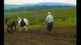 Ploughing with Horses Farming the old way in Ireland [upl. by Victorine]