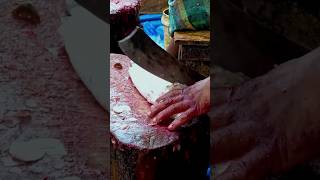 Amazing Big C  Fish Cutting Skills  Coral Fish fishing oral Fish Cutting [upl. by Naara]