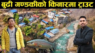 मनास्लु ट्रेकिङ रुटमा भेटिने गजबको ट्राउट फार्मको भ्रमणमा जे देखियो जस्ताको तस्तै  Rainbow Trout [upl. by Nylirahs]