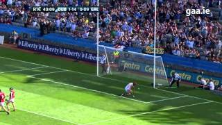 Top 5 GAA Hurling Goals  2013 [upl. by Rockefeller]