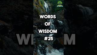 Word of wisdom 25 shorts [upl. by Polish]