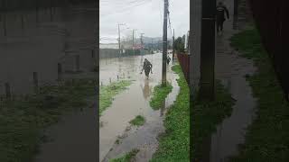 Carabineros de Chile En Concepción ayudando a transeúntes [upl. by Adnoloy]