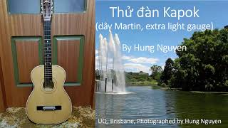 Vintage Kapok guitar  Vlog 80 [upl. by Brandwein]