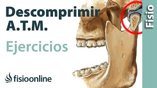 Ejercicio para descomprimir la articulación temporomandibular ATM [upl. by Namrak]