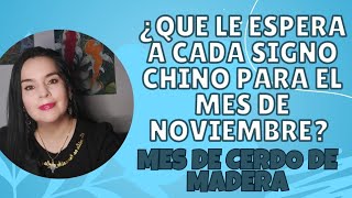 Que le espera a cada Signo Chino para el mes de Noviembre Mes de cerdo de madera 2024 ✨ [upl. by Rusticus961]